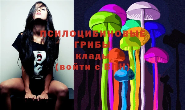 не бодяженный Лабытнанги