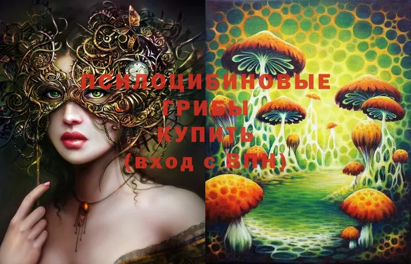 Псилоцибиновые грибы Psilocybine cubensis  что такое наркотик  blacksprut как зайти  Оса 